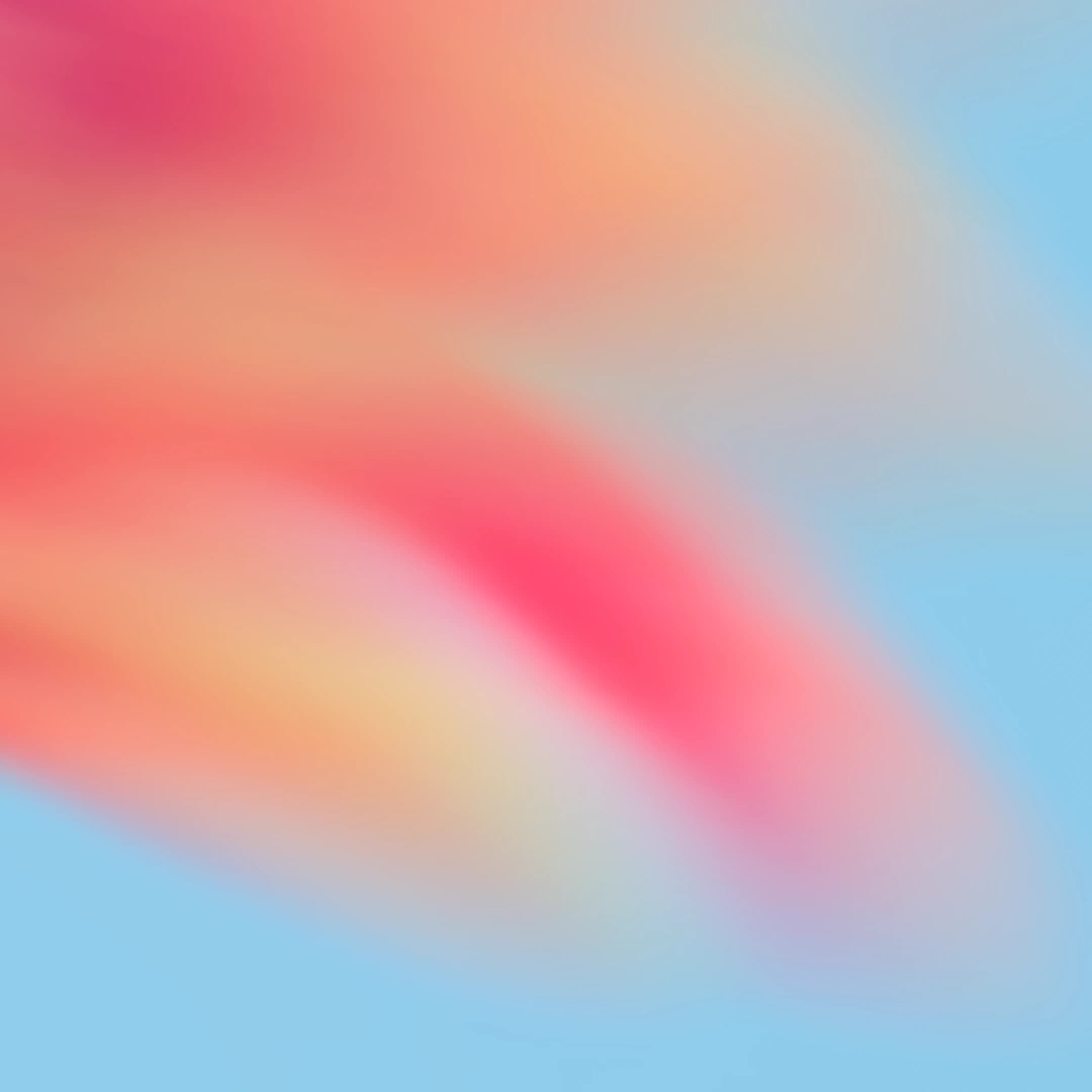 Custom Software Development